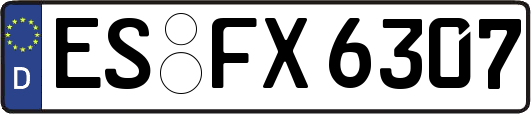 ES-FX6307