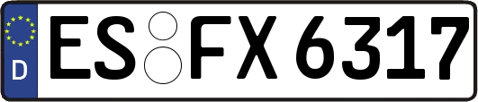 ES-FX6317