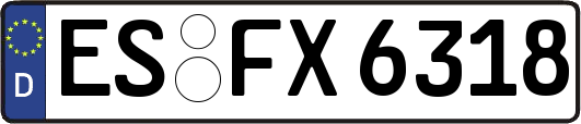 ES-FX6318