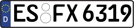 ES-FX6319