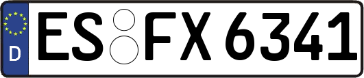 ES-FX6341