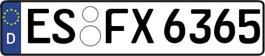 ES-FX6365