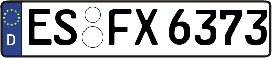 ES-FX6373