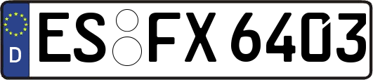 ES-FX6403
