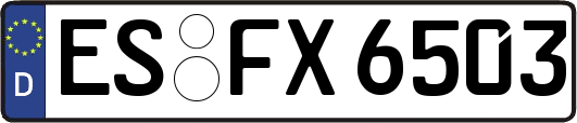 ES-FX6503