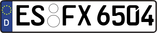 ES-FX6504