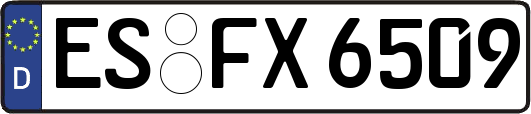 ES-FX6509