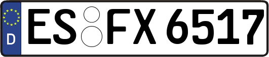 ES-FX6517