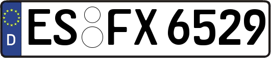 ES-FX6529