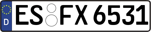 ES-FX6531