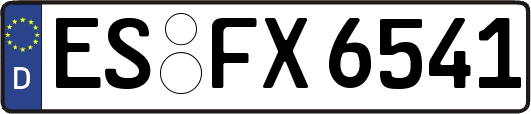 ES-FX6541