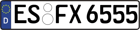ES-FX6555