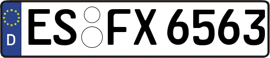 ES-FX6563