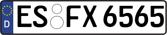 ES-FX6565