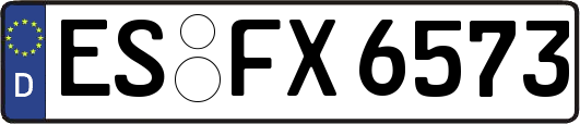 ES-FX6573