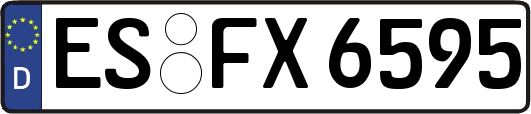 ES-FX6595