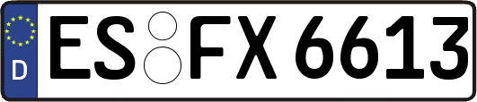 ES-FX6613