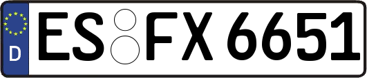 ES-FX6651