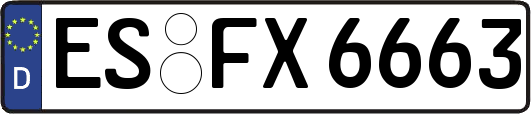 ES-FX6663