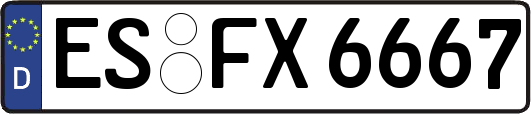 ES-FX6667