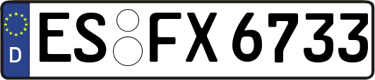 ES-FX6733