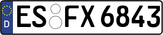 ES-FX6843