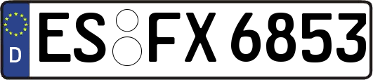 ES-FX6853