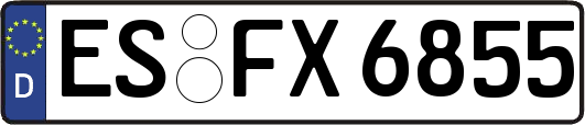 ES-FX6855