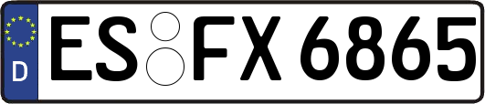 ES-FX6865