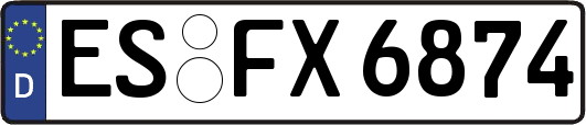 ES-FX6874