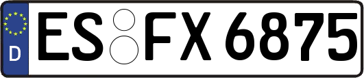 ES-FX6875