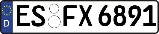 ES-FX6891