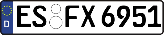 ES-FX6951