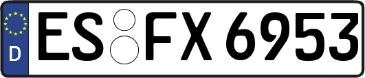 ES-FX6953