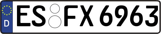 ES-FX6963