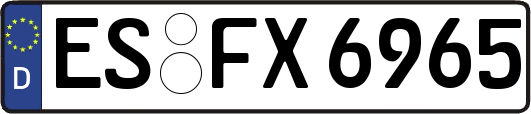 ES-FX6965