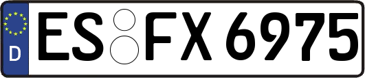 ES-FX6975