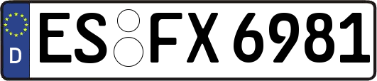 ES-FX6981