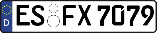 ES-FX7079