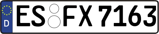 ES-FX7163