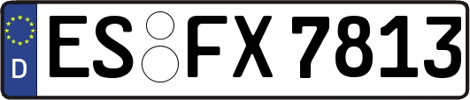 ES-FX7813