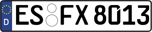 ES-FX8013