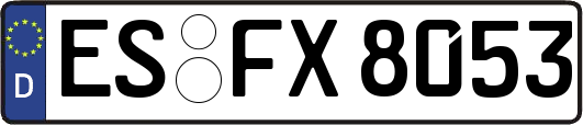 ES-FX8053