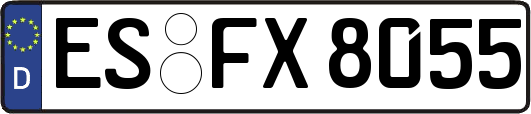 ES-FX8055