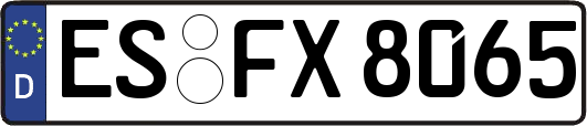 ES-FX8065