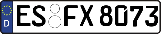 ES-FX8073