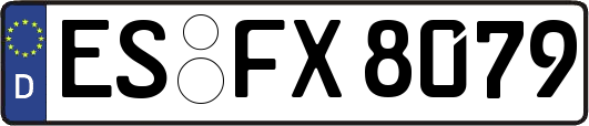 ES-FX8079