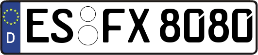 ES-FX8080