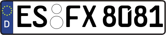 ES-FX8081