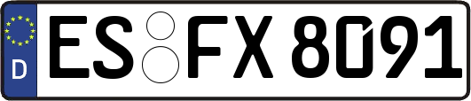 ES-FX8091